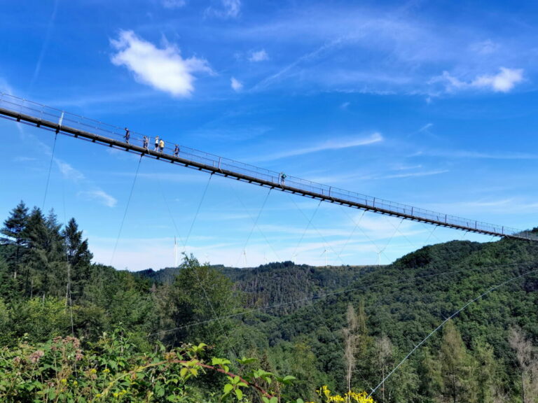 GEIERLAYSCHLEIFE wandern ⭐ der beliebte Geierlay Rundweg